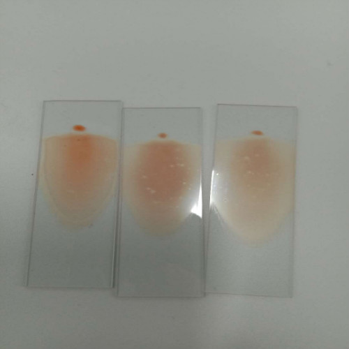 醫(yī)學(xué)檢驗(yàn)專業(yè)實(shí)訓(xùn)課剪影