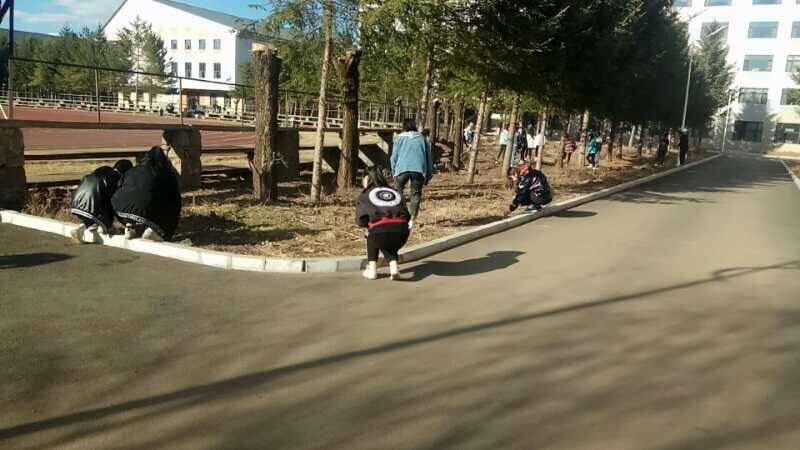 我校開展第31個愛國衛(wèi)生月活動