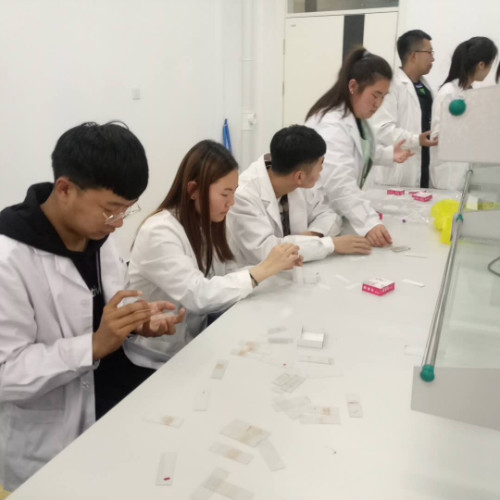 醫(yī)學(xué)檢驗(yàn)專業(yè)實(shí)訓(xùn)課剪影