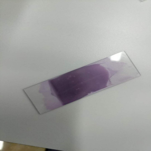 醫(yī)學(xué)檢驗(yàn)專業(yè)實(shí)訓(xùn)課剪影