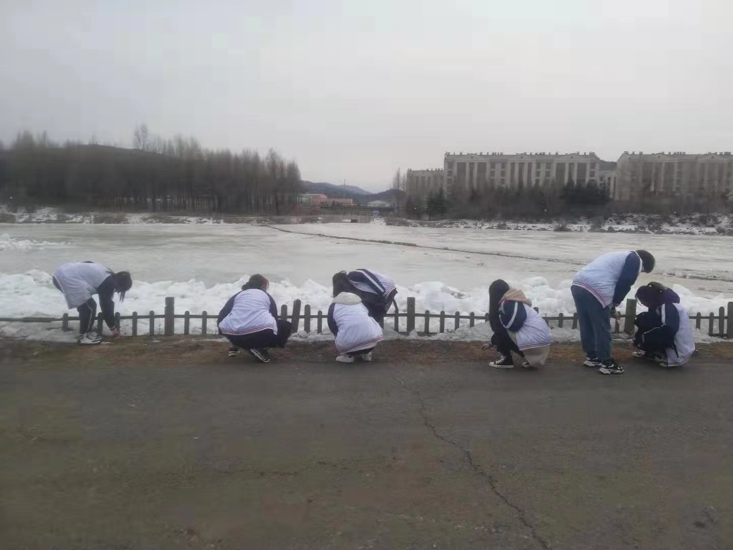 伊春職業(yè)學(xué)院3.5學(xué)習(xí)雷鋒團(tuán)活