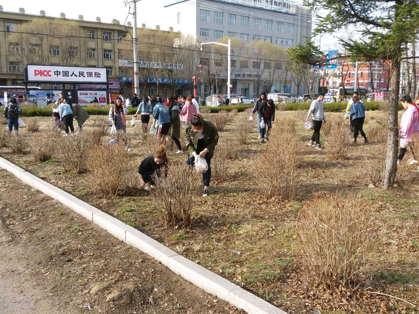 我院組織學(xué)生黨員、入黨積極分子開展義務(wù)勞動