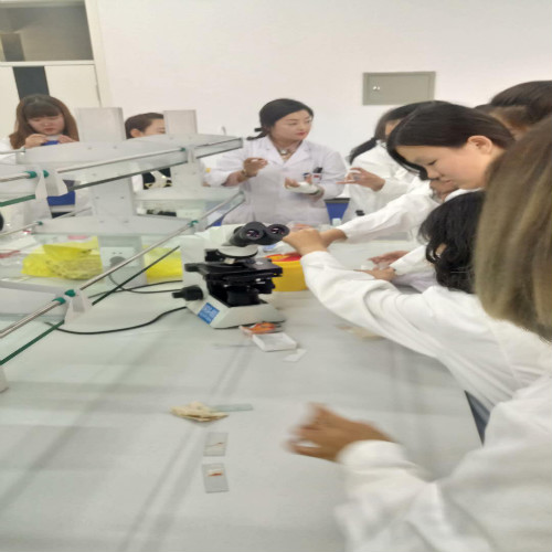 醫(yī)學(xué)檢驗(yàn)專業(yè)實(shí)訓(xùn)課剪影