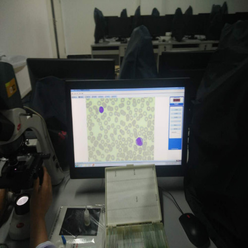 醫(yī)學(xué)檢驗(yàn)專業(yè)實(shí)訓(xùn)課剪影