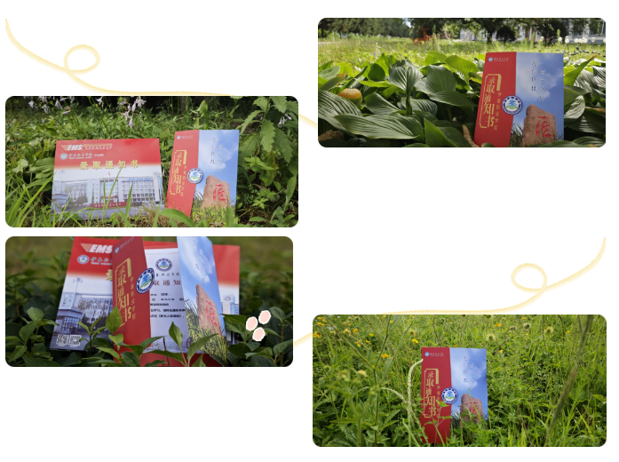 微信圖片_20240730091502